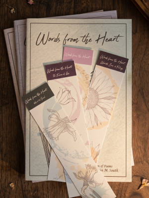 3 Book Bundle